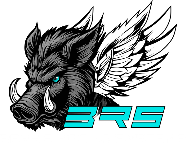 Berrie Racing Systems