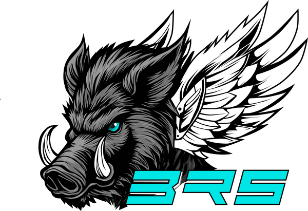 Berrie Racing Systems